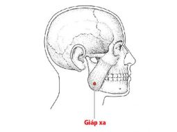 Huyệt Giáp Xa nằm ở vị trí góc hàm