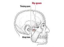 Huyệt Hạ Quan hỗ trợ giảm đau hàm, ù tai rất hiệu quả
