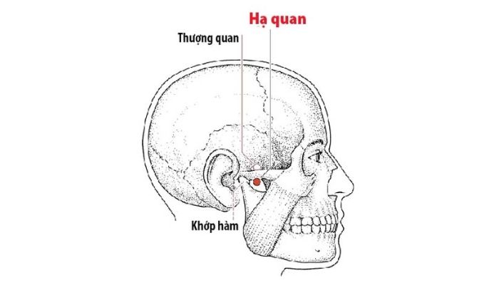 Huyệt Hạ Quan hỗ trợ giảm đau hàm, ù tai rất hiệu quả