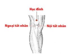 Huyệt Hạc Đỉnh hỗ trợ điều trị các chứng bệnh ở đầu gối, chi dưới