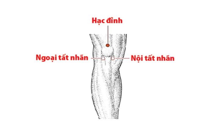 Huyệt Hạc Đỉnh hỗ trợ điều trị các chứng bệnh ở đầu gối, chi dưới