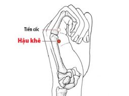Huyệt Hậu Khê được ứng dụng rộng rãi trong các vấn đề sức khỏe