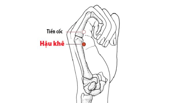 Huyệt Hậu Khê được ứng dụng rộng rãi trong các vấn đề sức khỏe