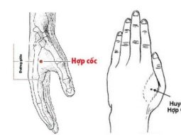 Huyệt Hợp Cốc hỗ trợ giảm đau rất tốt