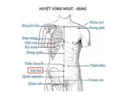 Huyệt Khí Hải phát huy tốt khả năng dưỡng khí cho cơ thể