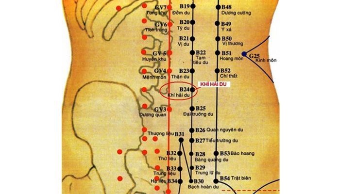 Huyệt Khí Hải Du giúp bổ khí, ôn dương, kiện thận