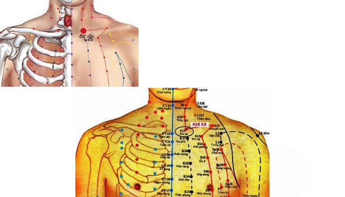 Huyệt Khí Xá thuộc vào kinh Vị