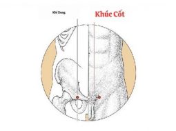 Huyết Khúc Cốt giúp điều hòa công năng bàng quang, tử cung, thận