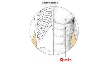 Huyệt Kỳ Môn nằm ở khoang liên sườn thứ 6