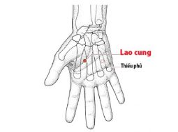 Huyệt Lao Cung có vị trí nằm trong lòng bàn tay