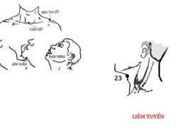 Huyệt Liêm Tuyền chủ trị các vấn đề liên quan tới cổ họng