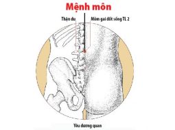 Huyệt Mệnh Môn nằm đối xứng với rốn ở mặt trước