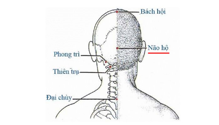 Huyệt Não Hộ giúp giảm các cơn đau đầu mất ngủ