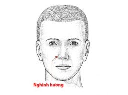 Huyệt Nghinh Hương Thường Dùng Trong Trị Viêm Xoang Viêm Mũi
