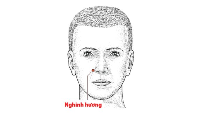 Huyệt Nghinh Hương Thường Dùng Trong Trị Viêm Xoang Viêm Mũi