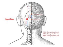 Huyệt Ngọc Chẩm có thể giúp giảm đau cổ vai gáy khá tốt