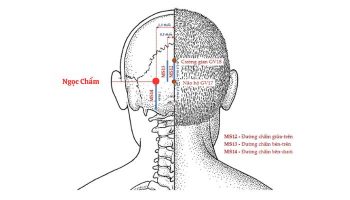 Huyệt Ngọc Chẩm có thể giúp giảm đau cổ vai gáy khá tốt