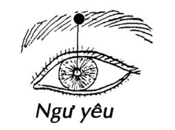 Huyệt Ngư Yêu có nhiều công dụng với mắt và thần kinh vùng trán