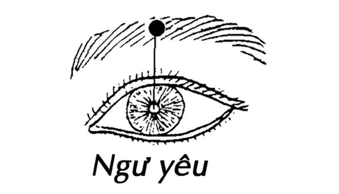 Huyệt Ngư Yêu có nhiều công dụng với mắt và thần kinh vùng trán
