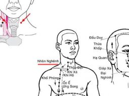 Huyệt Nhân Nghênh thuộc kinh Vị