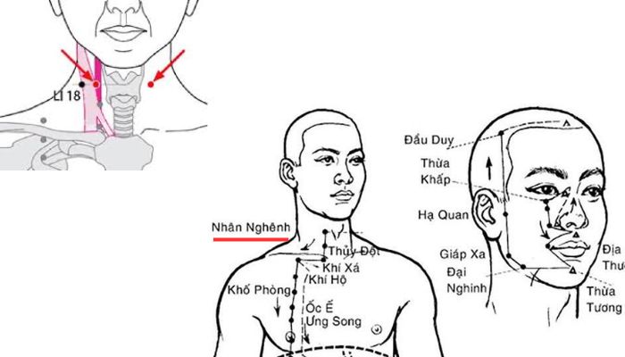 Huyệt Nhân Nghênh thuộc kinh Vị