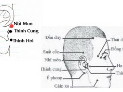 Huyệt Nhĩ Môn chủ trị các vấn đề thường gặp ở tai
