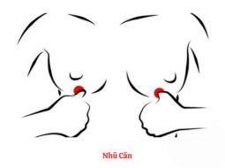 Huyệt Nhũ Căn nằm ở vị trí tiếp giáp giữa bầu ngực và xương sườn