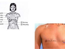 Huyệt Nhũ Trung có vị trí nằm ở ngực