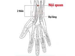 Huyệt Nội Quan giúp giảm tốt các triệu chứng khó chịu ở hệ tiêu hóa, thần kinh