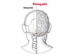 Huyệt Phong Phủ cho tác dụng trị các chứng phong nhập