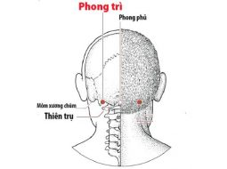 Huyệt Phong Trì giảm nhanh các cơn đau nhức đầu