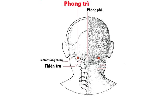 Huyệt Phong Trì giảm nhanh các cơn đau nhức đầu