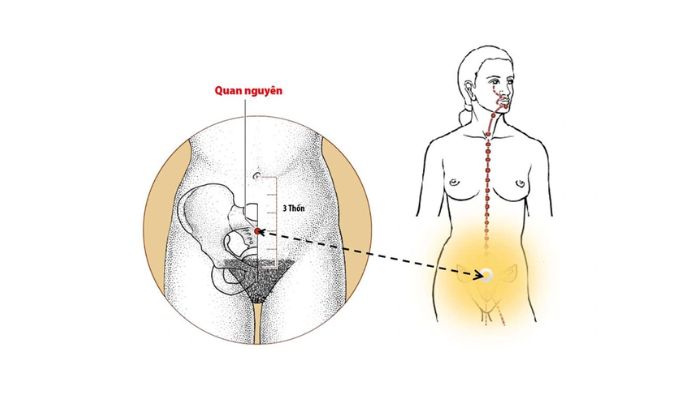 Huyệt Quan Nguyên có vị trí nằm dưới bụng dưới