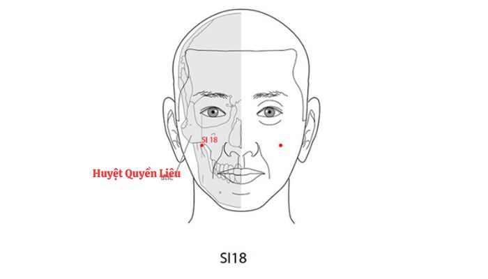 Huyệt Quyền Liêu giúp khí huyết vùng mặt lưu thông