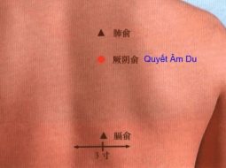 Huyệt Quyết Âm Du giúp thư cân giải uất