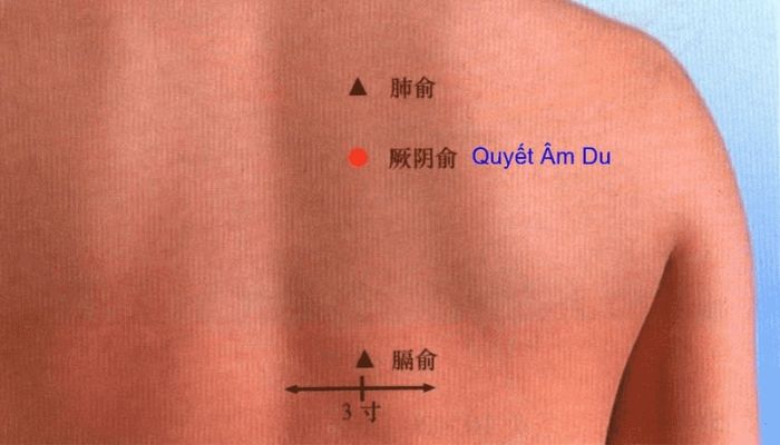 Huyệt Quyết Âm Du giúp  thư cân giải uất
