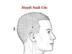Huyệt Suất Cốc giúp giảm đau đầu chóng mặt rất tốt