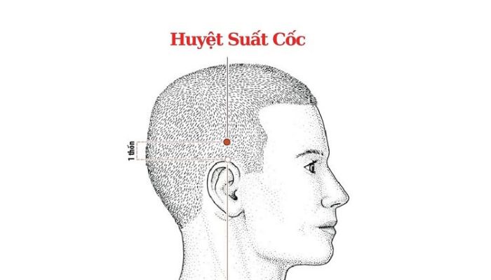 Huyệt Suất Cốc giúp giảm đau đầu chóng mặt rất tốt
