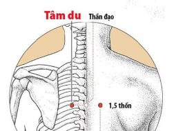 Huyệt Tâm Du giúp giảm đau tức ngực, mất ngủ