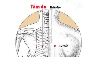 Huyệt Tâm Du giúp giảm đau tức ngực, mất ngủ