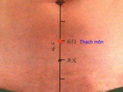 Huyệt Thạch Môn có vị trí nằm ở vùng bụng