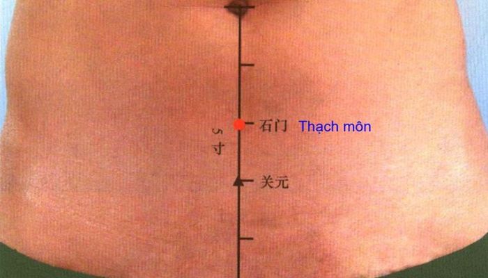 Huyệt Thạch Môn có vị trí nằm ở vùng bụng