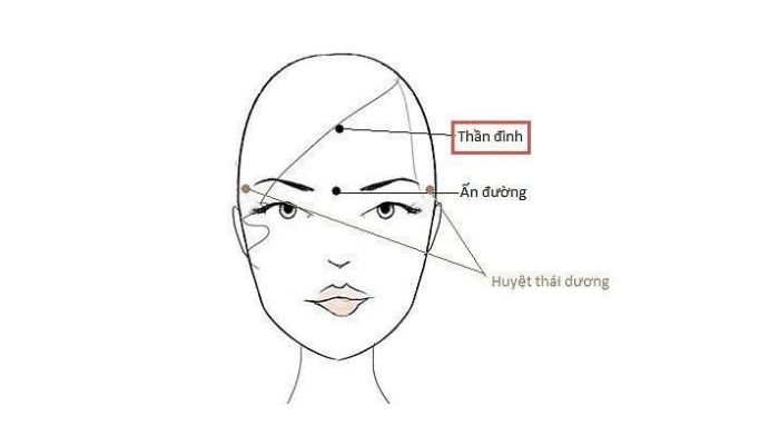 Huyệt Thần Đinh thuộc mạch Đốc