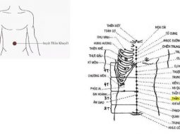 Huyệt Thần Khuyết nằm ngay chính giữa rốn
