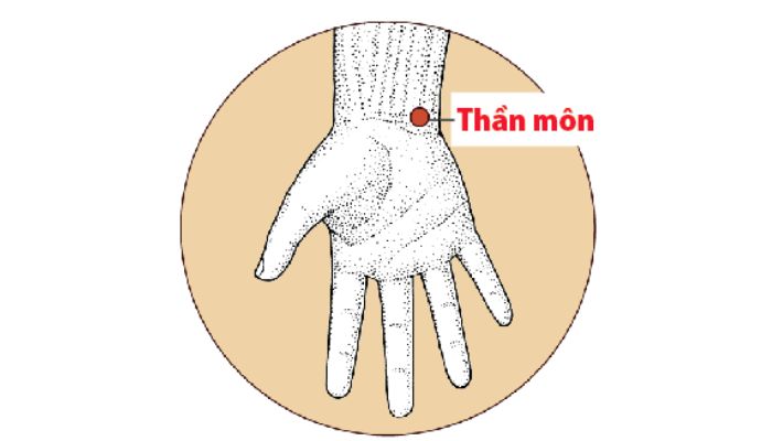 Huyệt Thần Môn là huyệt quen thuộc có vị trí nằm ở cổ tay