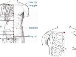Huyệt Thiên Đột giúp giảm ho, khó thở, viêm họng