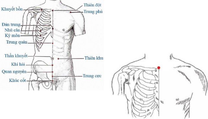 Huyệt Thiên Đột giúp giảm ho, khó thở, viêm họng