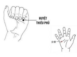 Huyệt Thiếu Phủ nằm trên lòng bàn tay