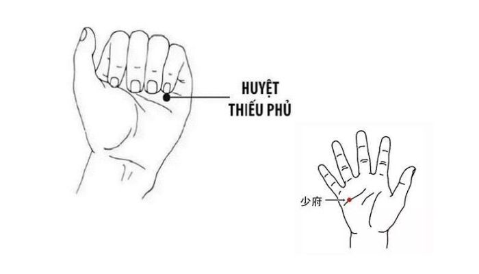 Huyệt Thiếu Phủ nằm trên lòng bàn tay