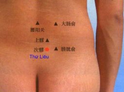 Huyệt Thứ Liêu giúp khai uất, lợi tiểu, điều kinh
